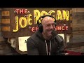 JRE MMA Show #151 with Bo Nickal