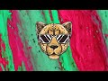 Liquid Drum n Bass Cheetah Mix - Peak Focus For Complex Tasks