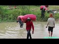 Incredible! Power Tiller Kubota RT140 Loading Rice Sink In Deep Water Canal, Tractor Water Bogging