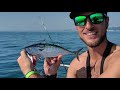 Dolphin and Tunas from the Boat! End of Summer 2018