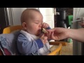 Baby eating lemon! You never seen something like that!