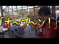 深夜のＵＳＪに一泊して一番最初に入園できるのか？