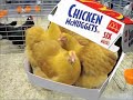 Chicken Meal