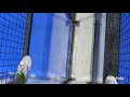 Padel Trick Shots