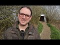 Photographing Marsh Harriers from a Hide - But Do I Have Enough Reach? And Tips on Hide Photography