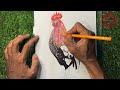 Step by Step Rooster Drawing with ✨Multiple Colors || ✅ bird