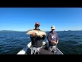 MUST HAVE Baits for Lake Trout & How to Fish them!