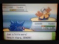 Pokemon Heart Gold Battle Tower Round 42 - I'd prefer a sheer cold to hit..