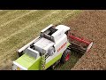 Sklizeň řepky v Krkonoších/ZEOS LOMNICE/2X Claas Lexion,Valtra/2024