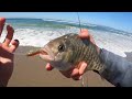 Secret Weapon Finally Pays Off - Old School Surf Fishing on the California Coast