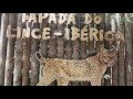 Lisbon Zoo - Portugal HD