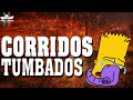 Mexican Music Corridos Tumbados 2024 - Corridos Tumbados Mix 2024🧡Éxito Mix Corridos Belicos