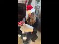 Funny Christmas game part 4. My niece Marie