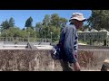 A Wonderful tour at the fish hatchery by the Mad River in Blue Lake, Humboldt County, California