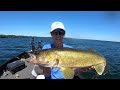 INSANE BIG Walleye BEATDOWN! Summer Walleye Fishing Pattern