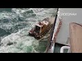 Stormy sea, the pilot tries to board the ferry