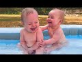 Best Videos of Cute and Funny Twin Babies #2 || Big Daddy