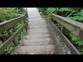 Lynn Canyon Suspension Bridge / Lynn Loop Hiking Trail /  Lynn Creek / Travel Canada