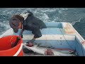 WILDCARD - Hot Spanish Mackerel session - Commercial Fishing