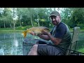 Floating Feeder Fishing - Drive The FISH WILD!