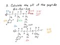 Biochem   pI of Amino Acids and Peptides 201