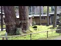 本山村田妙法寺春の訪れ 2020.04.14