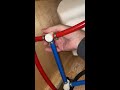 How to bypass your RV hot water tank. #shorts