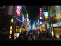 Tokyo Shinjuku 4K Night Walk : The City That Never Sleeps