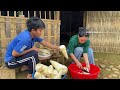 Sua harvests bamboo shoots: The simple life of Pao and Sua in the bamboo house
