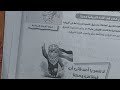 حل تدريبات درس أفريقيا (الموقع والكشوف الجغرافية) من كتاب الامتحان 2025 دراسات أولى إعدادى ترم أول