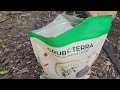 Chickens First Treat | Grub Terra Black Soldier Fly Larvae