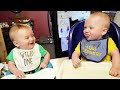 Funny video| Best Videos of Cute and Funny Twin Babies Compilation | #funnybabies #funnyvideos