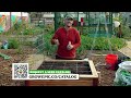 Square Foot Gardening: Easiest Way to Grow MORE Food in LESS Space