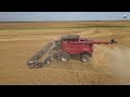 FIRST Wheat Harvest Video of the Year | Wolgemuth Bros Harvesting in Oklahoma #wheatharvest2024