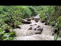 WATER SOUNDS FOR SLEEPING-RELAXING FOREST STREAM SOUND/NATURE SOUNDS.