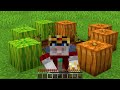 150 Cosas Que NO Sabías de Minecraft