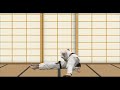 Ceinture ORANGE - Programme du Passage de Grade Judo