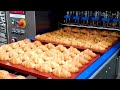93 Satisfying Videos ►Modern Technological Food Processors Operate At Crazy Speeds Level 160