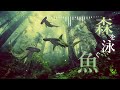 🌳1時間耐久BGM - 物語の世界へと誘う幻想的なファンタジー「森を泳ぐ魚」【作業用、ロイヤリティフリー】