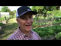 Successfully Growing Food in Sand?! They used a Cuban Technique called 