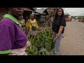 RURAL MARKET DAY IN APOMU OSUN NIGERIA | Cost of living, WEST AFRICA| CHEAPEST FOOD MARKET 🌎 🇳🇬