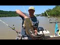 Big Bait Delivers Big Fish (Ohio River)