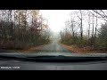 Antlered Deer Sprinting For A Crash