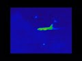 Plane and UAP/UFO surrounds aircraft, recorded in infaread. #uap #ufo