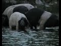 Inishcorkish Island Upper Lough Erne - Fermanagh TV