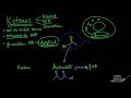 Urinalysis Interpretation Explained Clearly - Glucose & Ketones in Urine