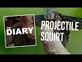 The Diary: Projectile Squirt