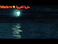 اقوال وحكم للعقول - الراقية - و النيرة ✍️