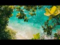 Ibiza Chillout Mix - Lounge Mix | Coastal Chill 2024 🌼🌴