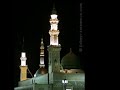 Mera Dil Tarap Raha Hai Naat by Qari Rizwan